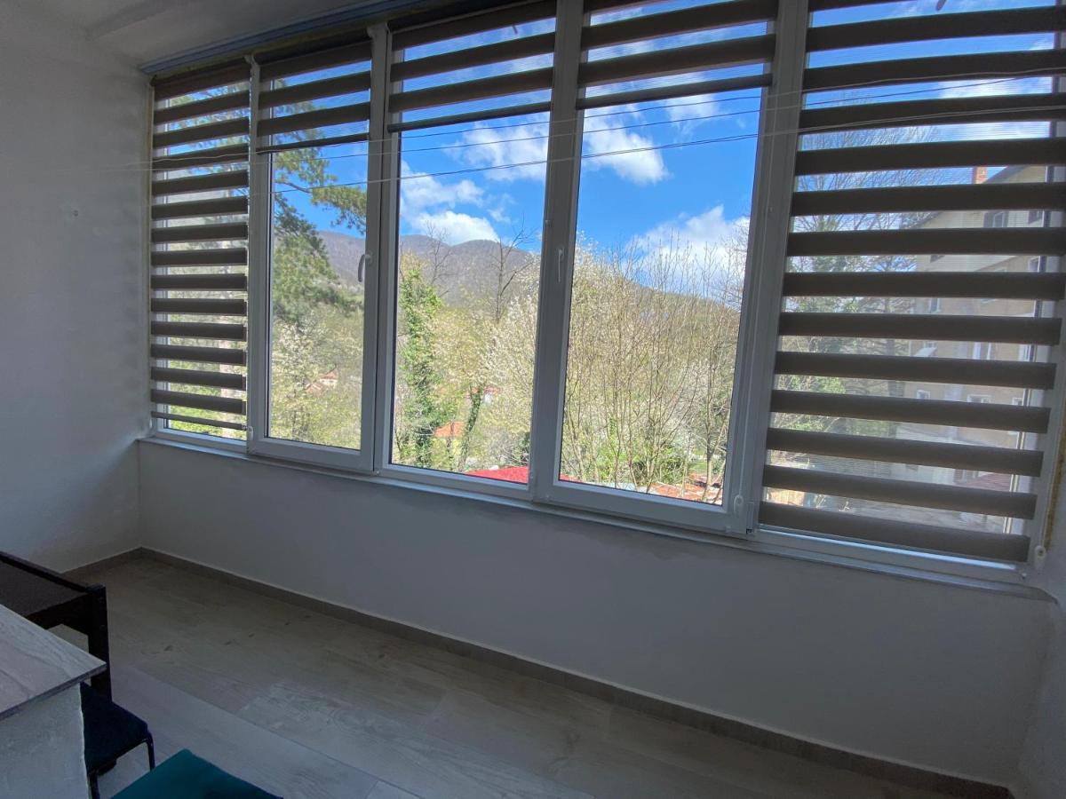 Linen Tree Apartment Baile Herculane Exterior photo