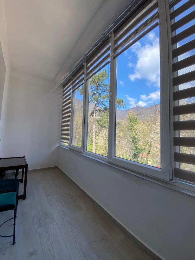 Linen Tree Apartment Baile Herculane Exterior photo